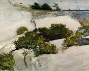 温斯洛荷默 - Maine Cliffs